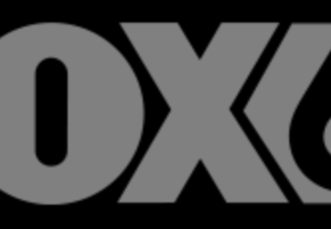 Fox 61